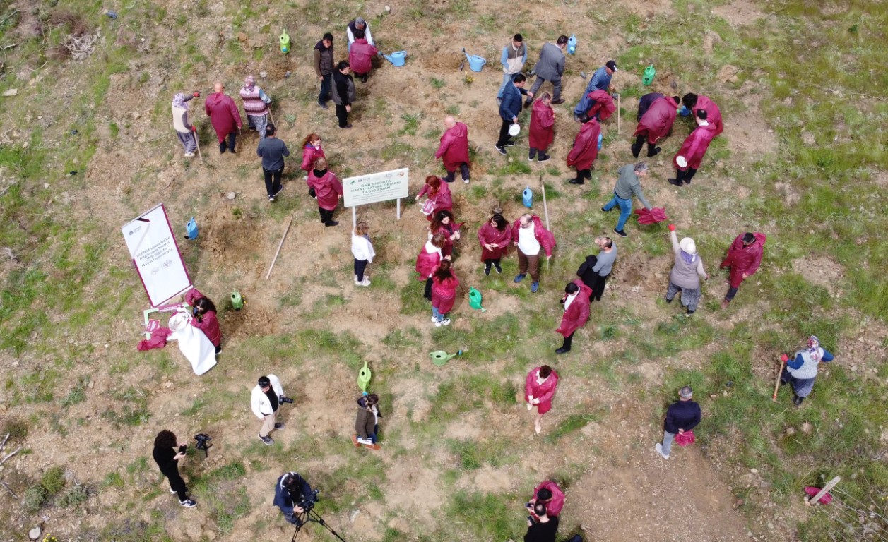 Yanan alana QNB Sigorta 10 bin fidanla orman kurdu