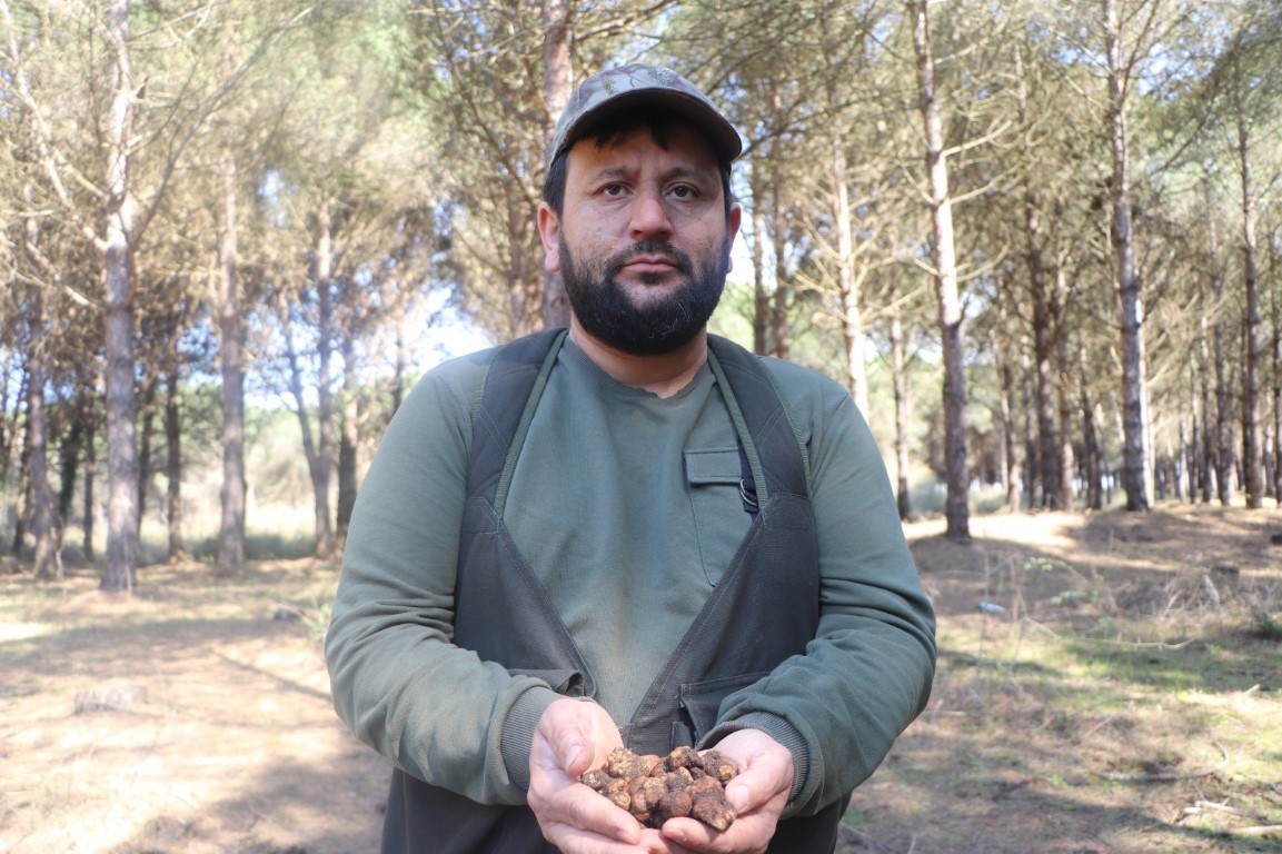 Trüf mantarı avcısı ‘Radar’ kayboldu