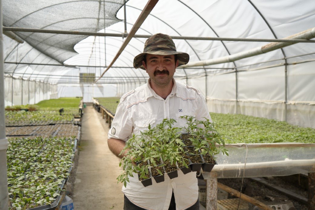 Gümüşhaneli ziraat mühendisi, 100 yıllık tohumlarla ‘Osmanlı domatesi’ fidesi üretiyor