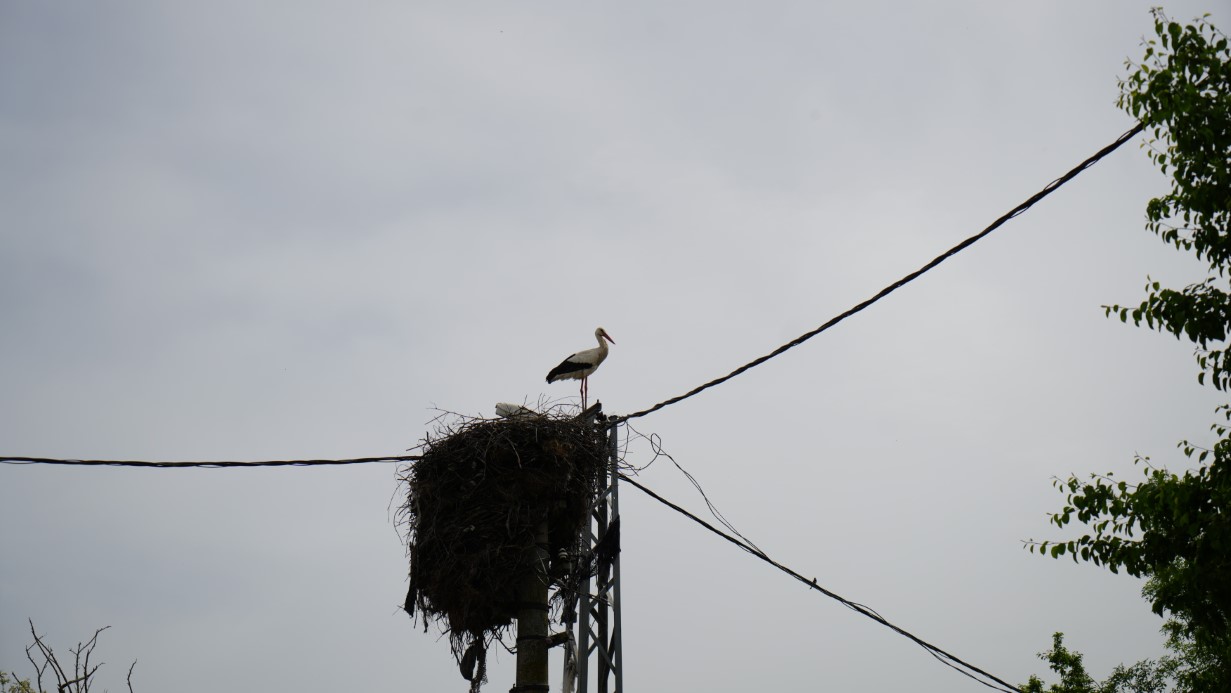 Arnavutköy’ün bu mahallesinde, yoldan geçenler gözlerine inanamıyor