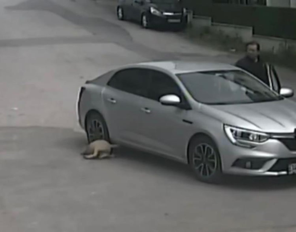 Vicdansızlığın görüntüsünü güvenlik kamerası işte böyle kaydetti