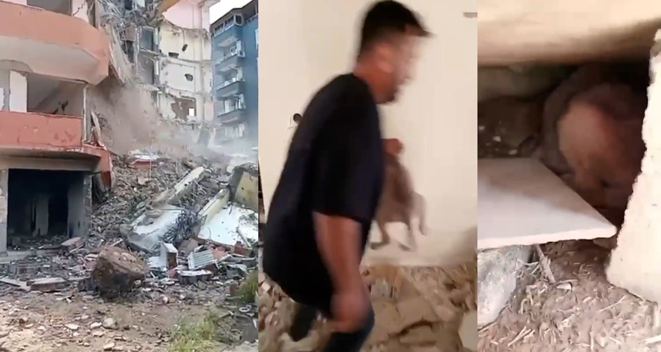 Hayvansever vatandaş yıkımı gerçekleştirilen hasarlı binadan yavru köpekleri kurtardı