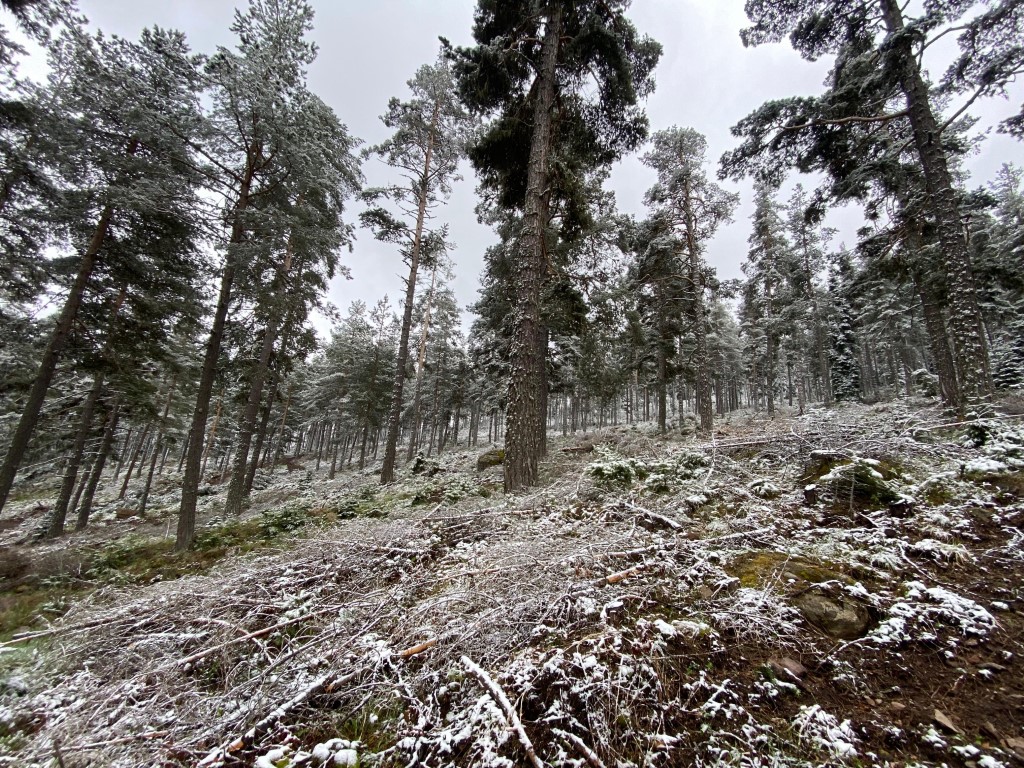 Bolu’da mayıs ortasında yağan kar hayrete düşürdü: “Normal değil”