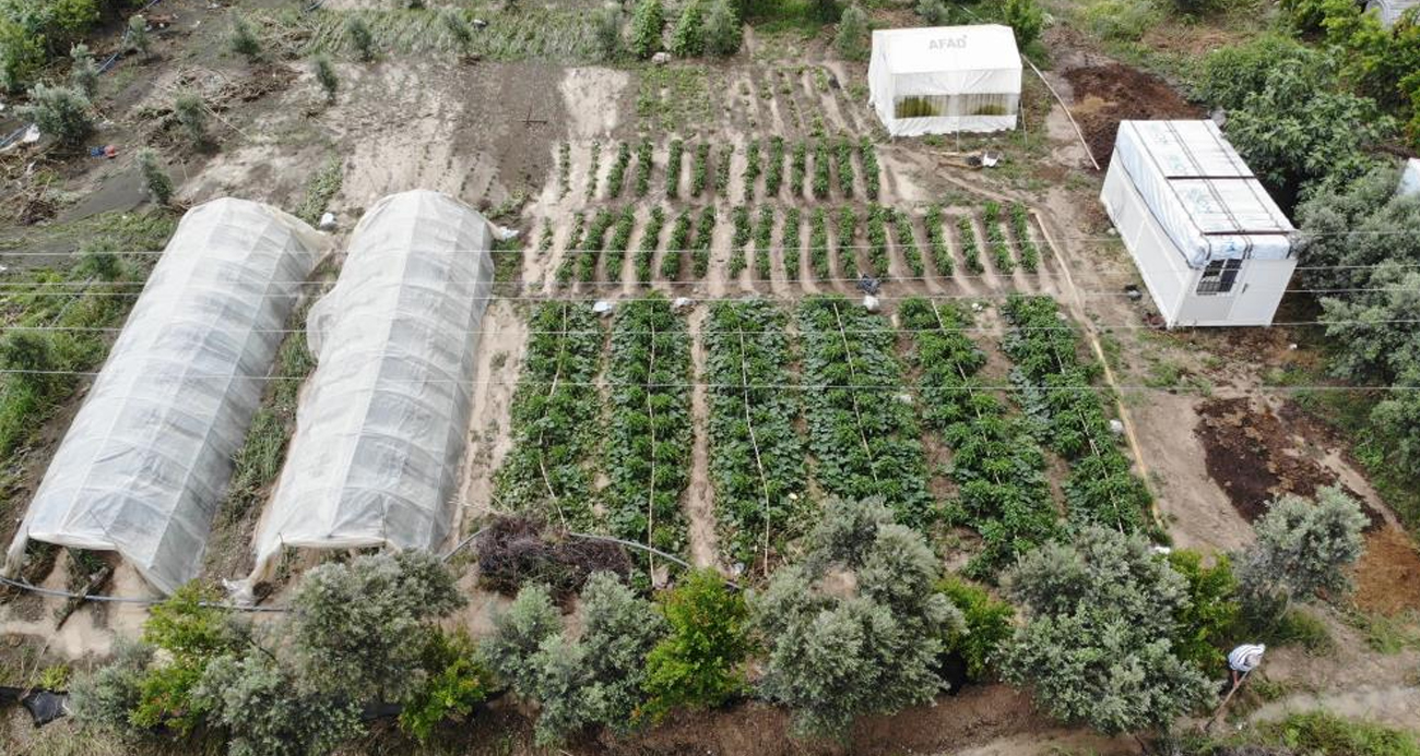 Şiddetli yağmurun etkili olduğu Hatay’da tarım arazileri sular altında kaldı