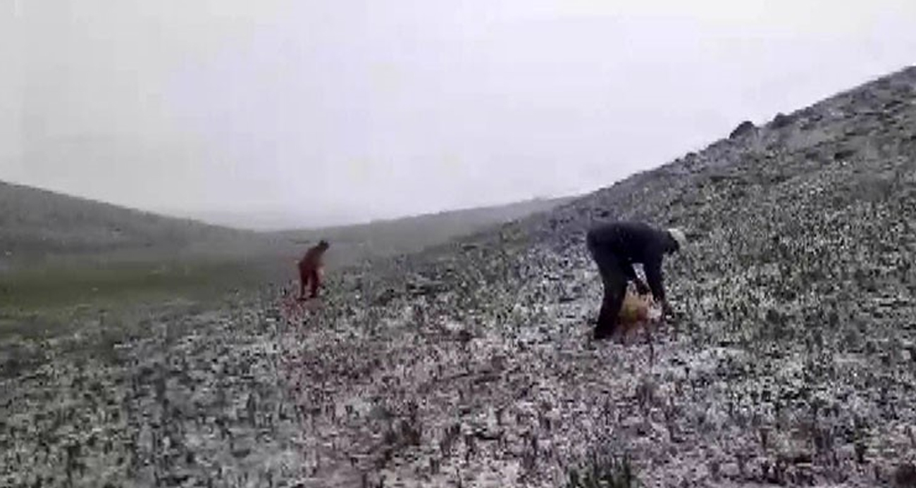 Tunceli’de mayısın ortasında kar yağdı