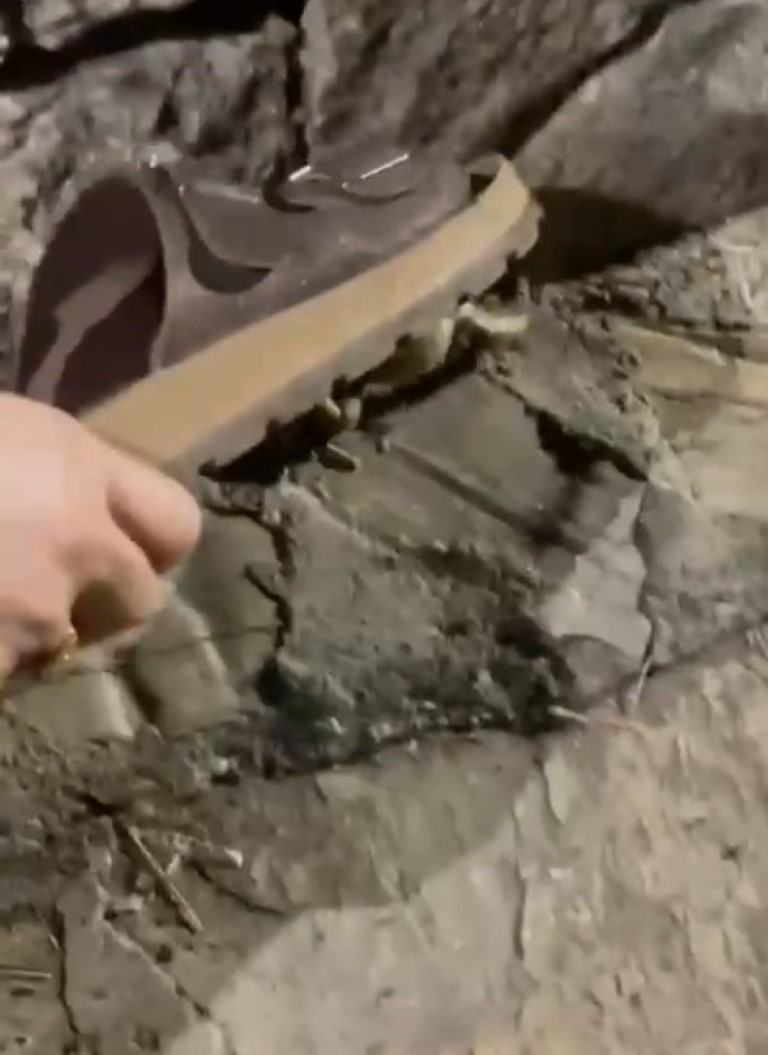 Anne terliğiyle yılanı ekmeğinden ettiler, o anları anlattılar