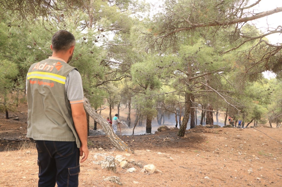 Denizli’de piknik ateşi yangına yol açtı