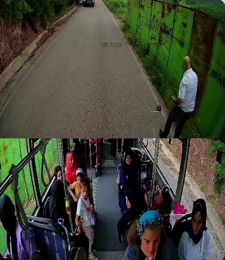 Otobüs şoförü kaplumbağayı ezilmekten kurtardı