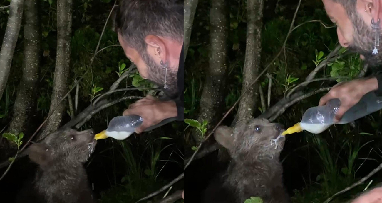 Yolda gördüğü yavru ayıyı biberonla besledi