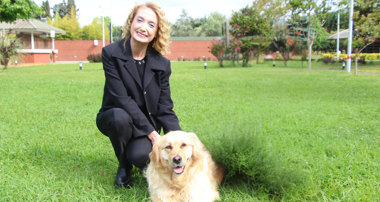 ‘Sokak köpekleri için umut dolu proje’