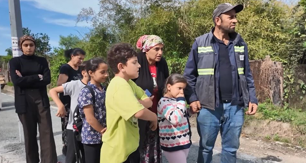 Artvin’in Arhavi ilçesinde başıboş sokak köpekleri mahalleliyi birbirine düşürdü