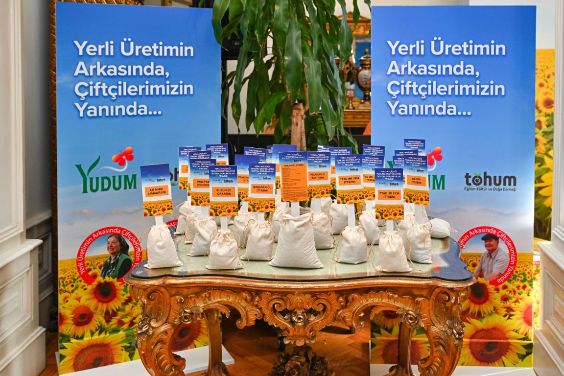 Yüzde 100 yerli ayçiçek tohumu Türk tarımına kazandırıldı