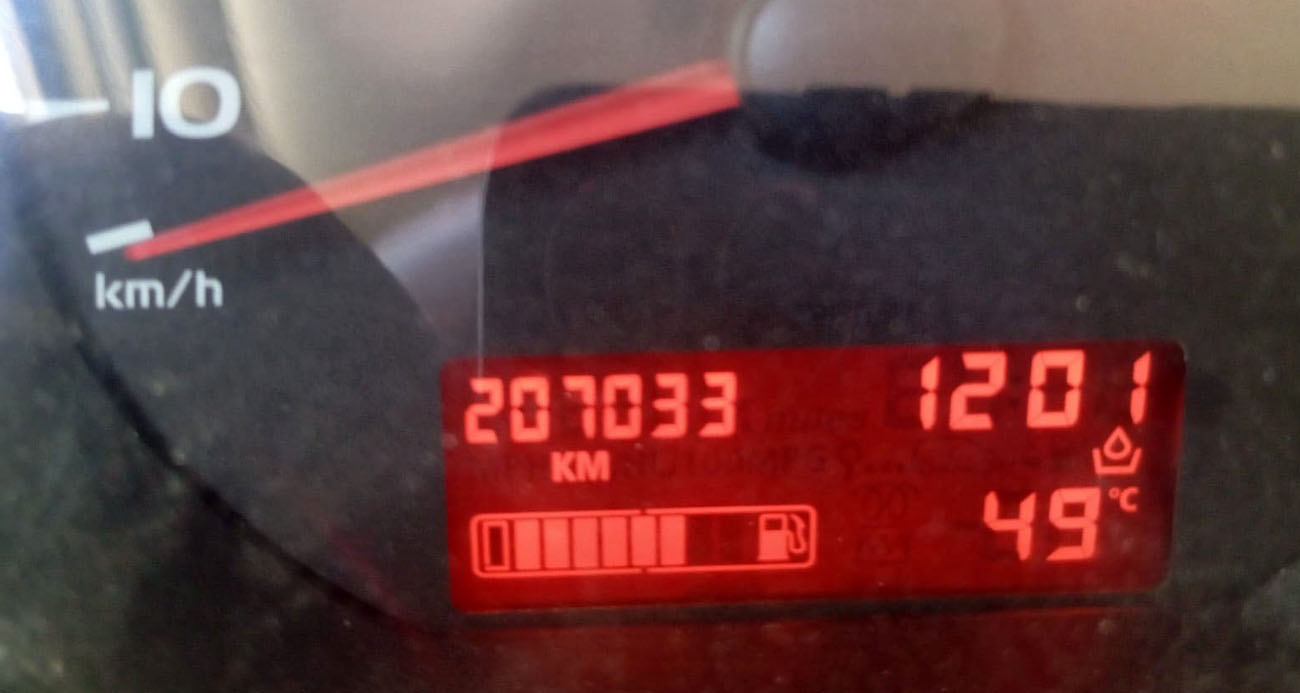Tarihi sıcaklık belediyeye sokak hayvanları için çağrı yaptırdı