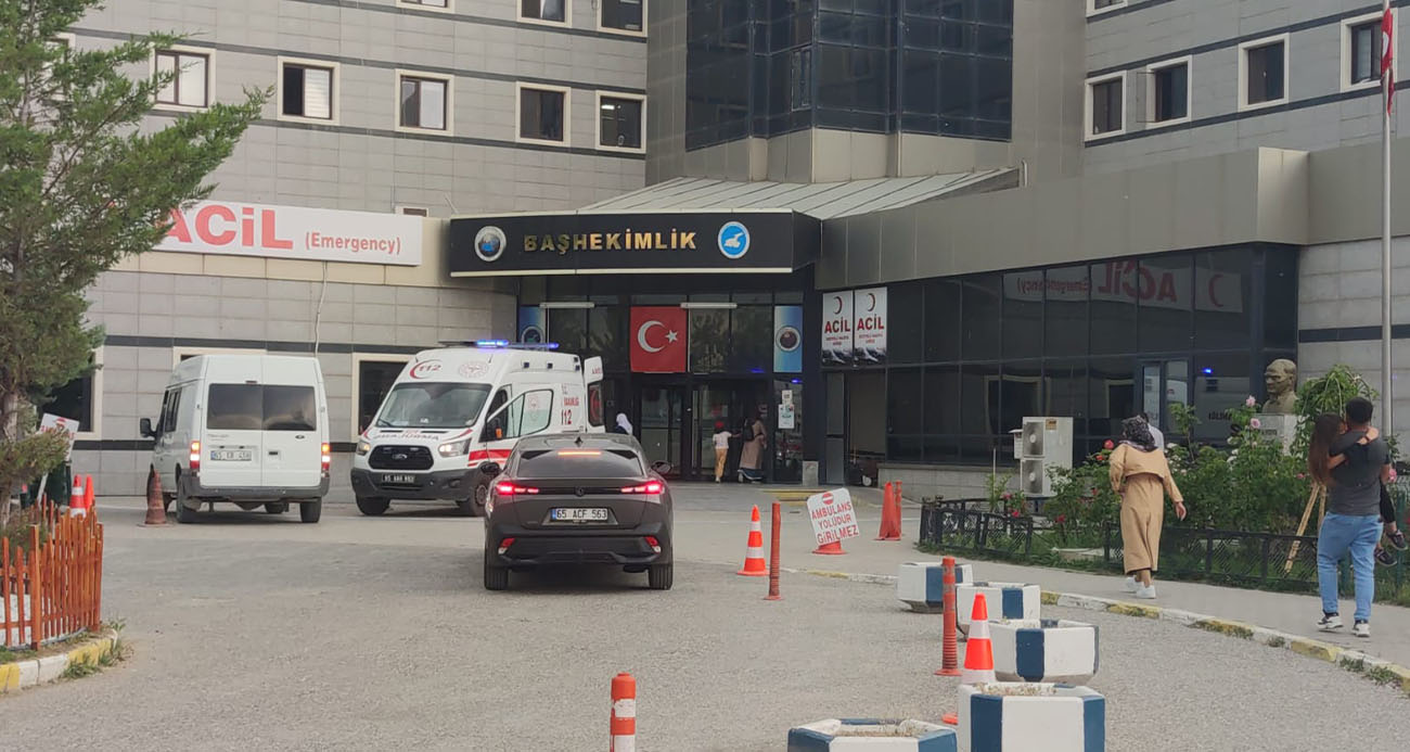 Hakkari’de tarlasına gitti iki ayının saldırısına uğradı