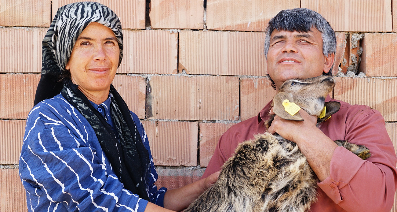 Görme engelli çiftin yaşam azmi: Hayvan otlatıp tarlada çalışıyorlar