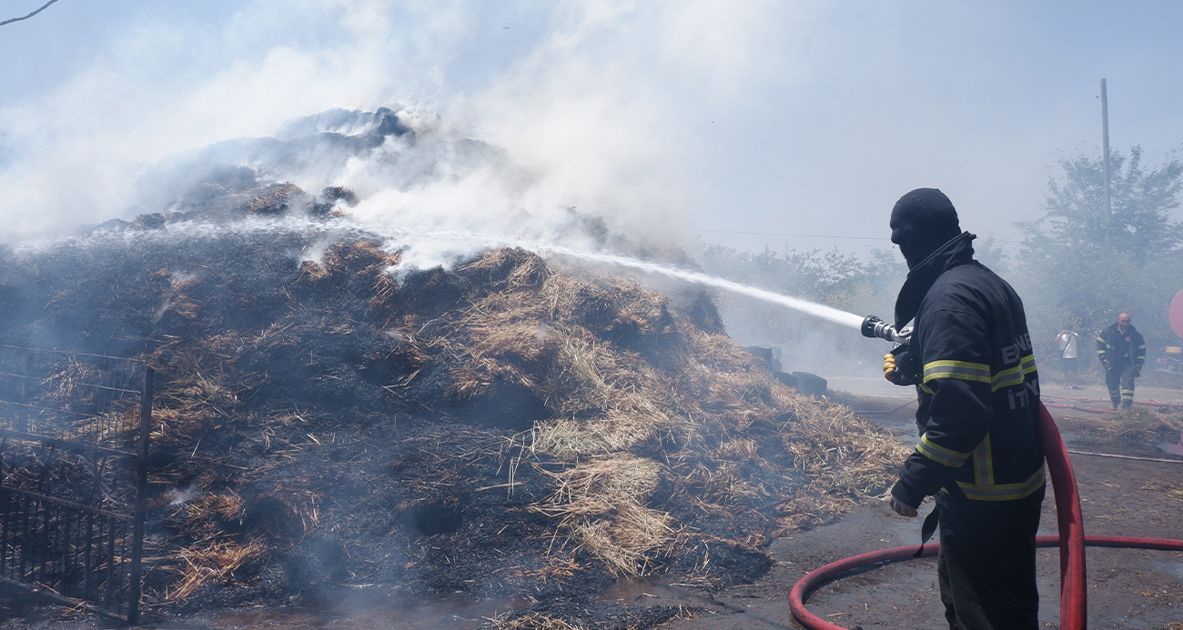 Hayvanları kurtarmak için canı pahasına alevlerin ortasına girdi