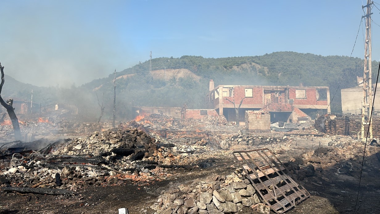 Köyde çıkan yangında 10 ev alevlere teslim oldu