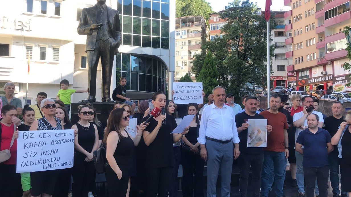 Artvin’de sokak köpeğine kürekle saldırı tepki topladı