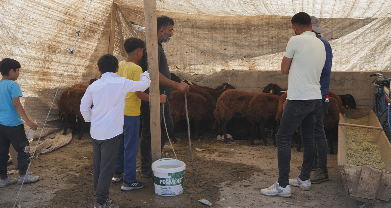 Hayvan pazarı çarşıya taşındı: Sıkı pazarlıklar başladı