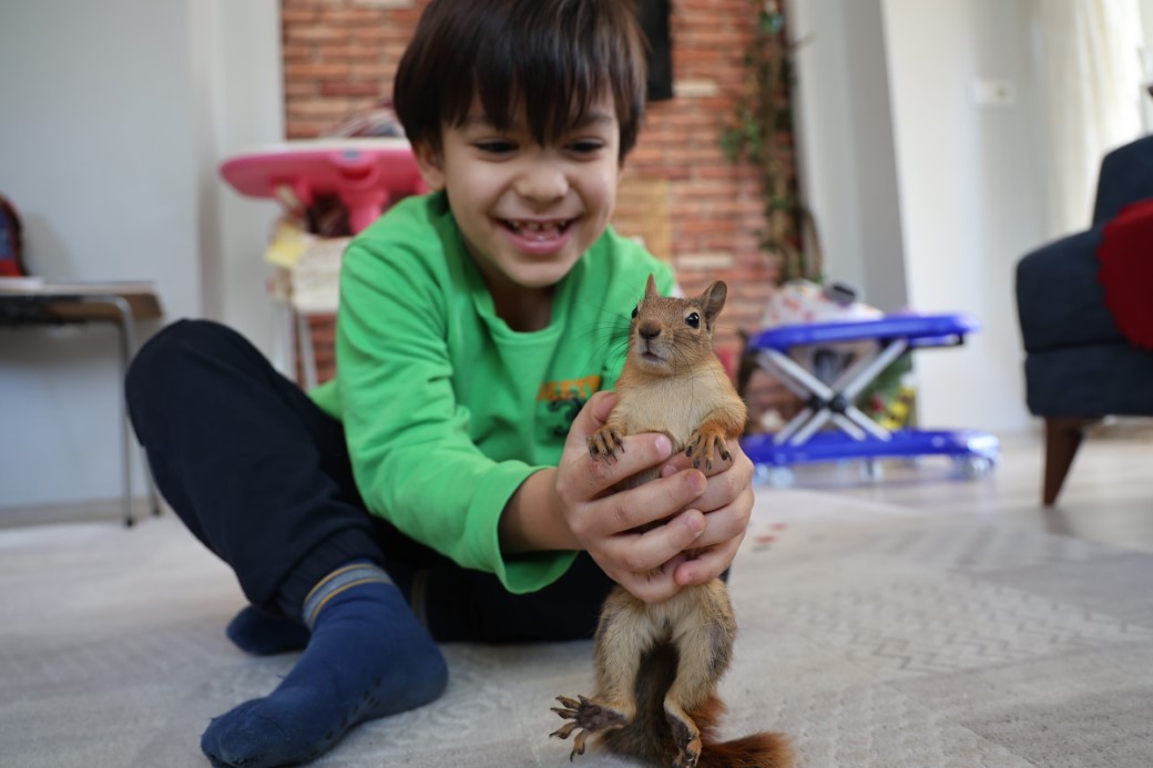Doğada buldukları sincabı kışın korudular, yazın doğaya bıraktılar