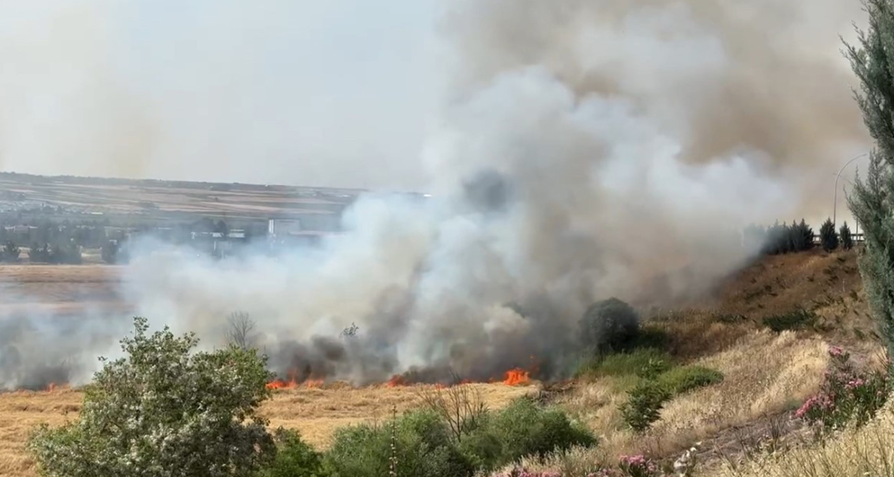 Diyarbakır’da 300 dönüm ekili buğday yandı