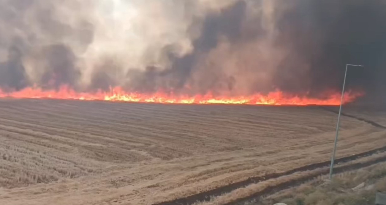 Şanlıurfa’nın Siverek ilçesinde ekili alanda çıkan yangında 100 dönüm arazi ve 200 ton saman kül oldu. Mahalle arasına yayılan yangının, evlere sıçraması son anda önlendi.
