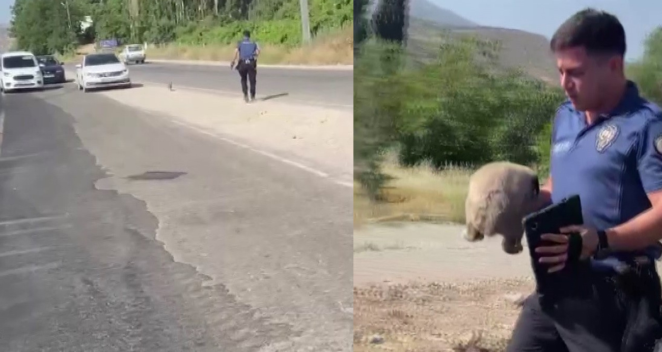 Polis, suçluyu yakalamak için değil, hayat kurtarmak için koştu