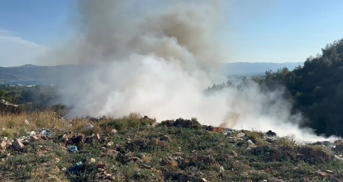 İznik’te çıkan yangın rüzgarın etkisiyle hızla büyüyor