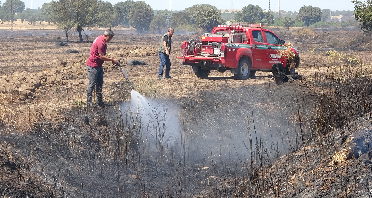 Ezine’de tarım arazisinde başlayan yangın ormanlık alana sıçramadan kontrol altına alındı