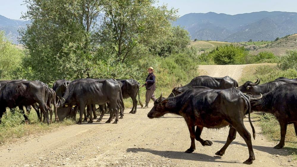 Afrika değil Tokat: Tokat’ta Afrika belgesellerini andıran görüntüler