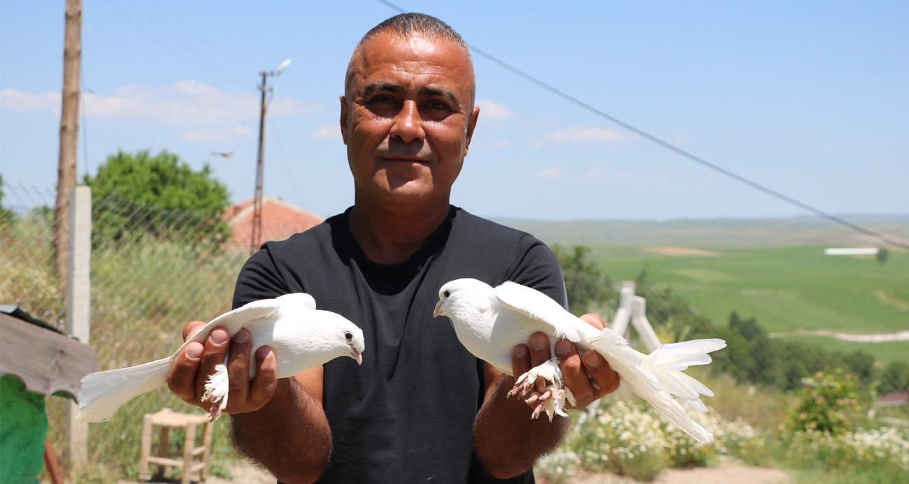 Bu kuşlara değer biçilemiyor