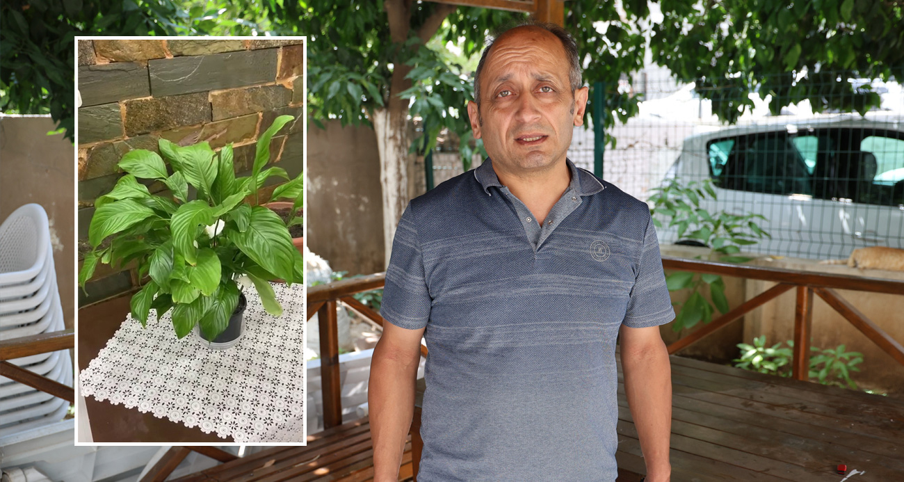 Ölen evladının hediyesi çiçeğe gözü gibi bakıyorlar