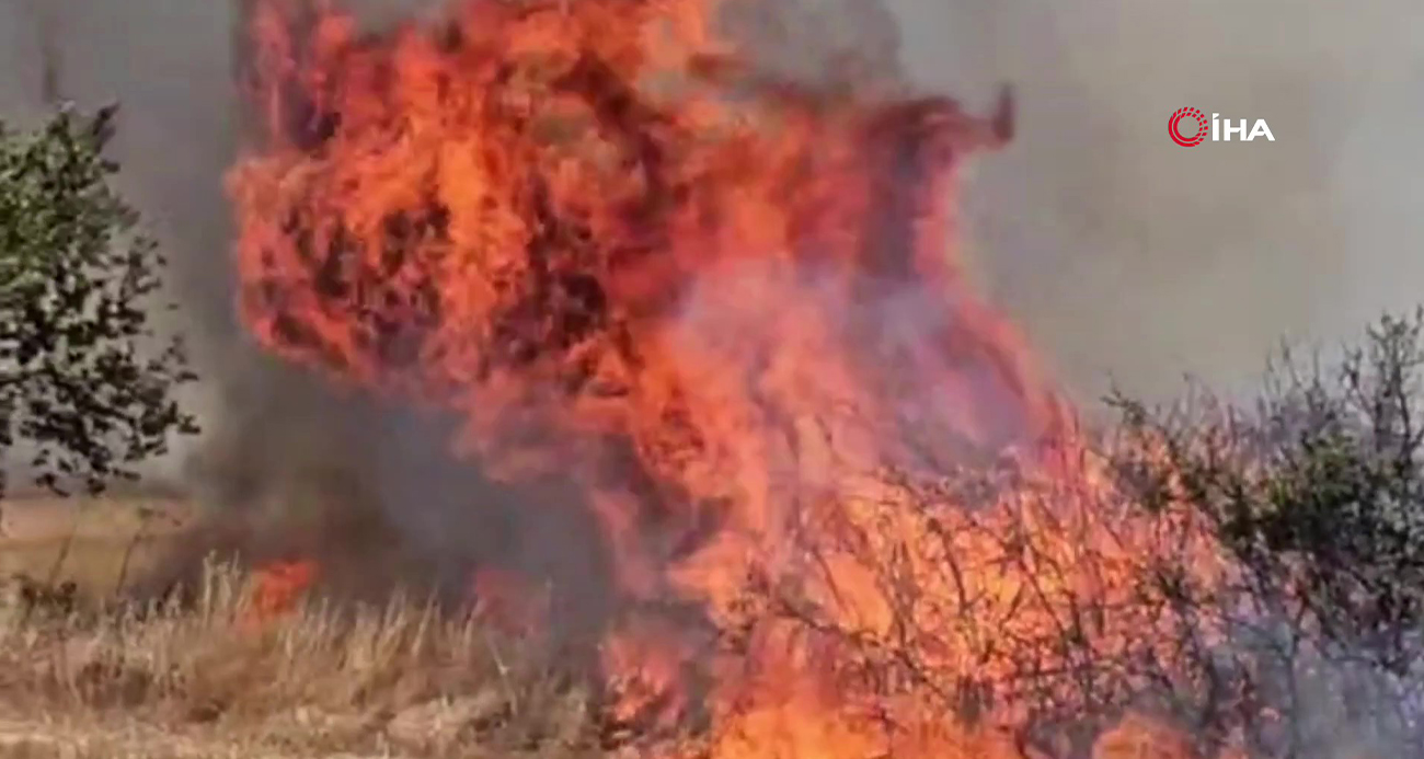 Edirne’de örtü yangını üç köye sıçradı!