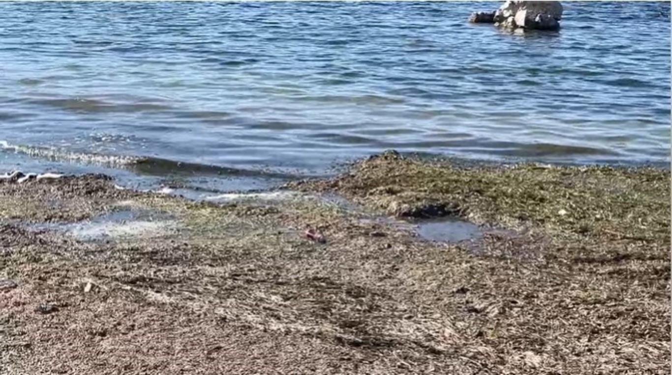 Eğirdir Gölü’nde sular 2 metre çekildi, koku tehdidi başladı
