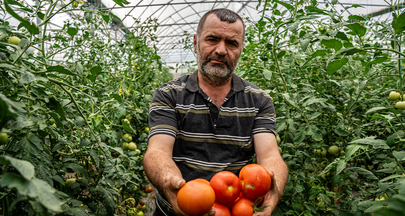 Öğretmenliği bırakarak çiftçiliğe başladı: Öğretmen maaşına 10 işçi çalıştırıyor