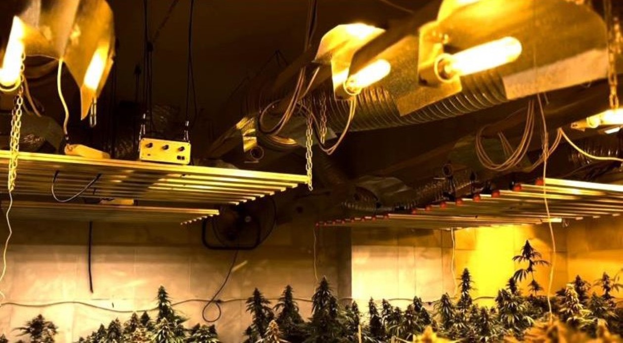 Uyuşturucu üretmek için fabrika kurmuş