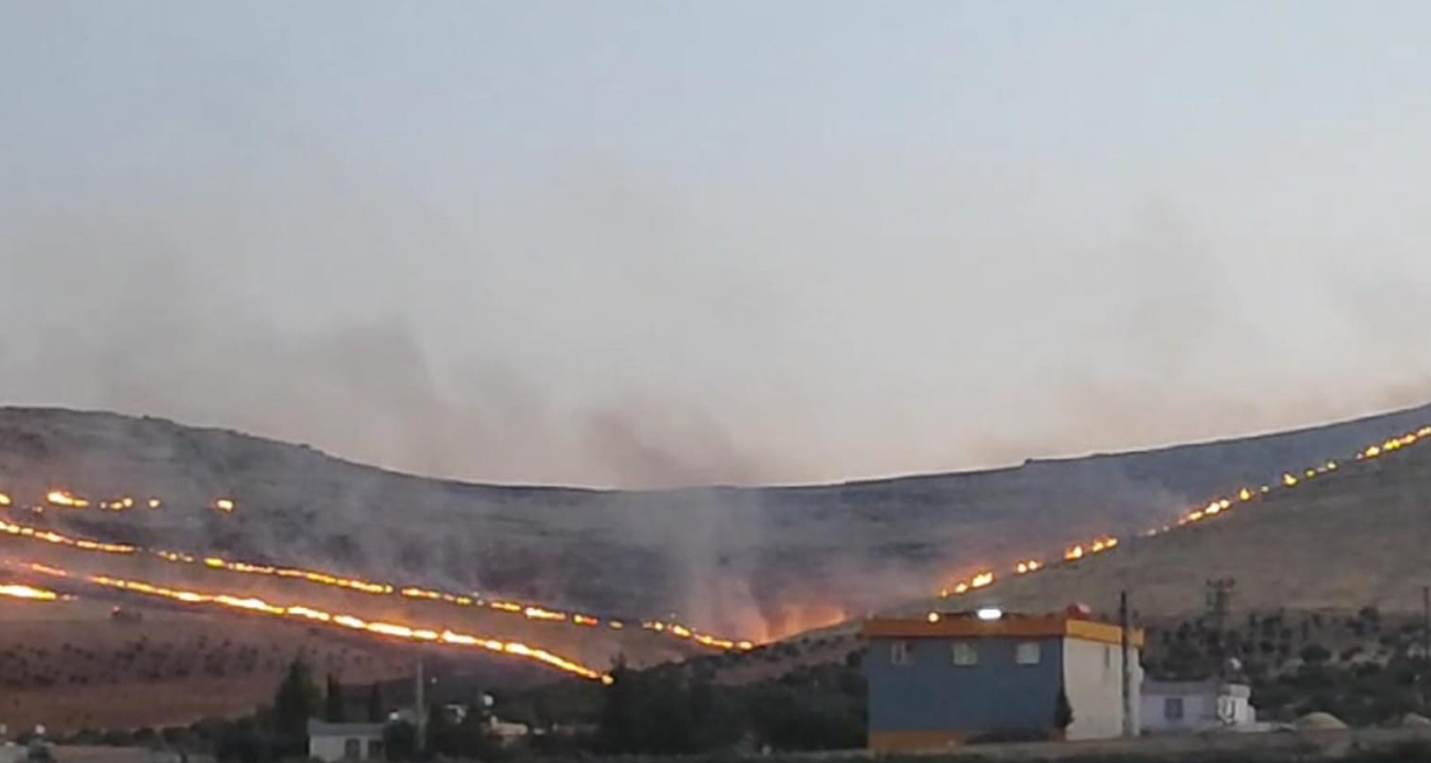 Göbeklitepe yakınlarında korkutan yangın