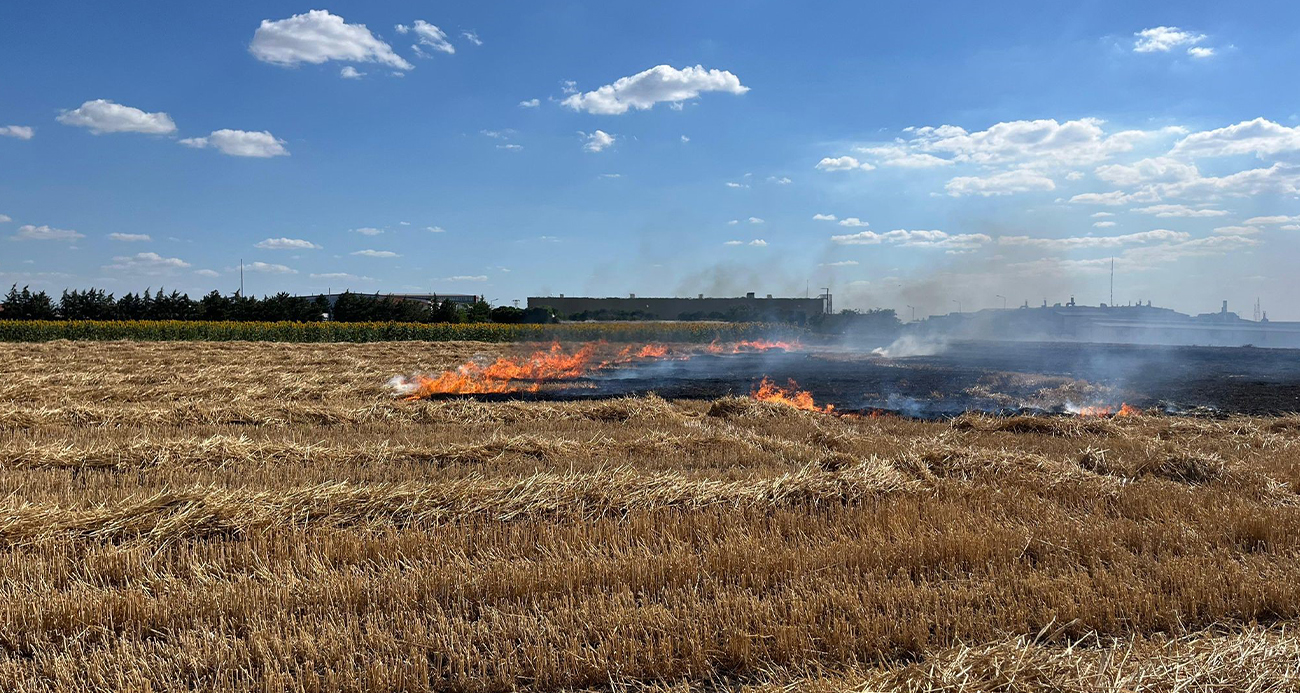 Kırklareli’nde 100 dönüm arazi küle döndü