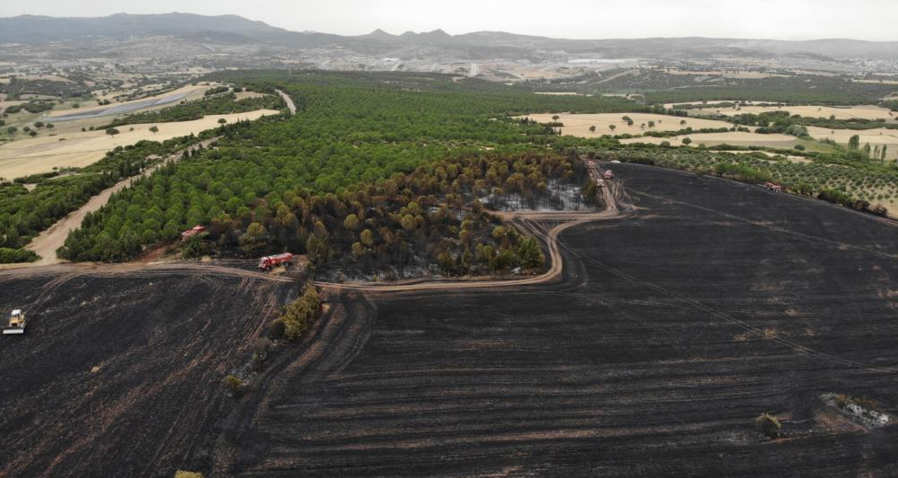 Çanakkale’de bir ayda 132 yangın: 2 bin 625 futbol sahası büyüklüğünde orman yok oldu