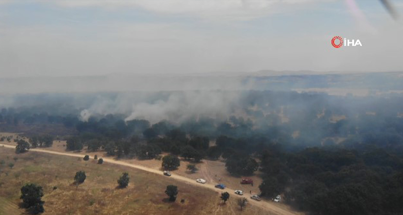 Edirne’de orman yangınına havadan ve karadan müdahale sürüyor