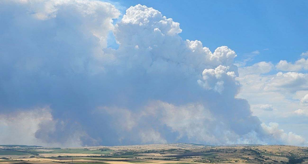 Bulgaristan-Türkiye sınırında yangın: Alevler sınıra dayandı