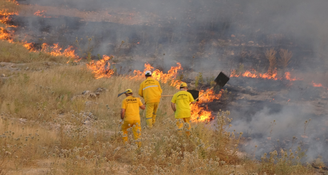 Adıyaman’daki orman yangınına müdahale sürüyor
