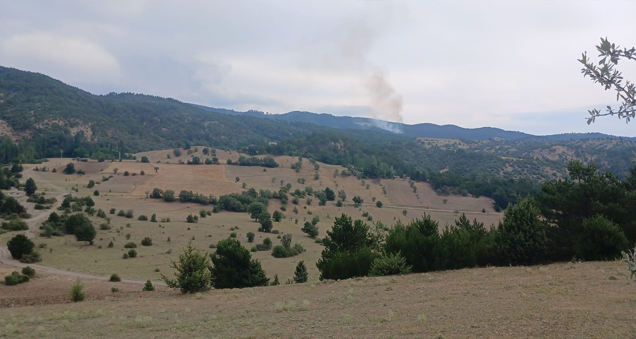 Osmancık’ta çıkan orman yangını kontrol altına alındı