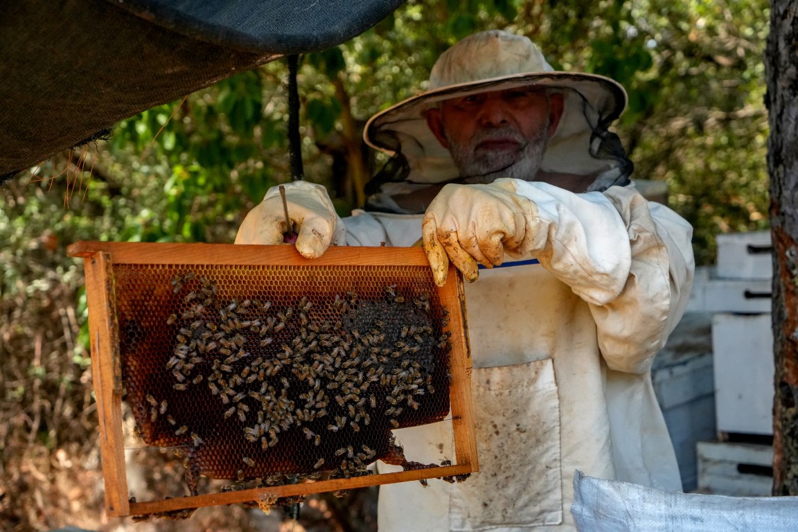 Oğlunun ölümünün ardından dedesinden kalma arıcılık mesleğiyle hayata tutundu