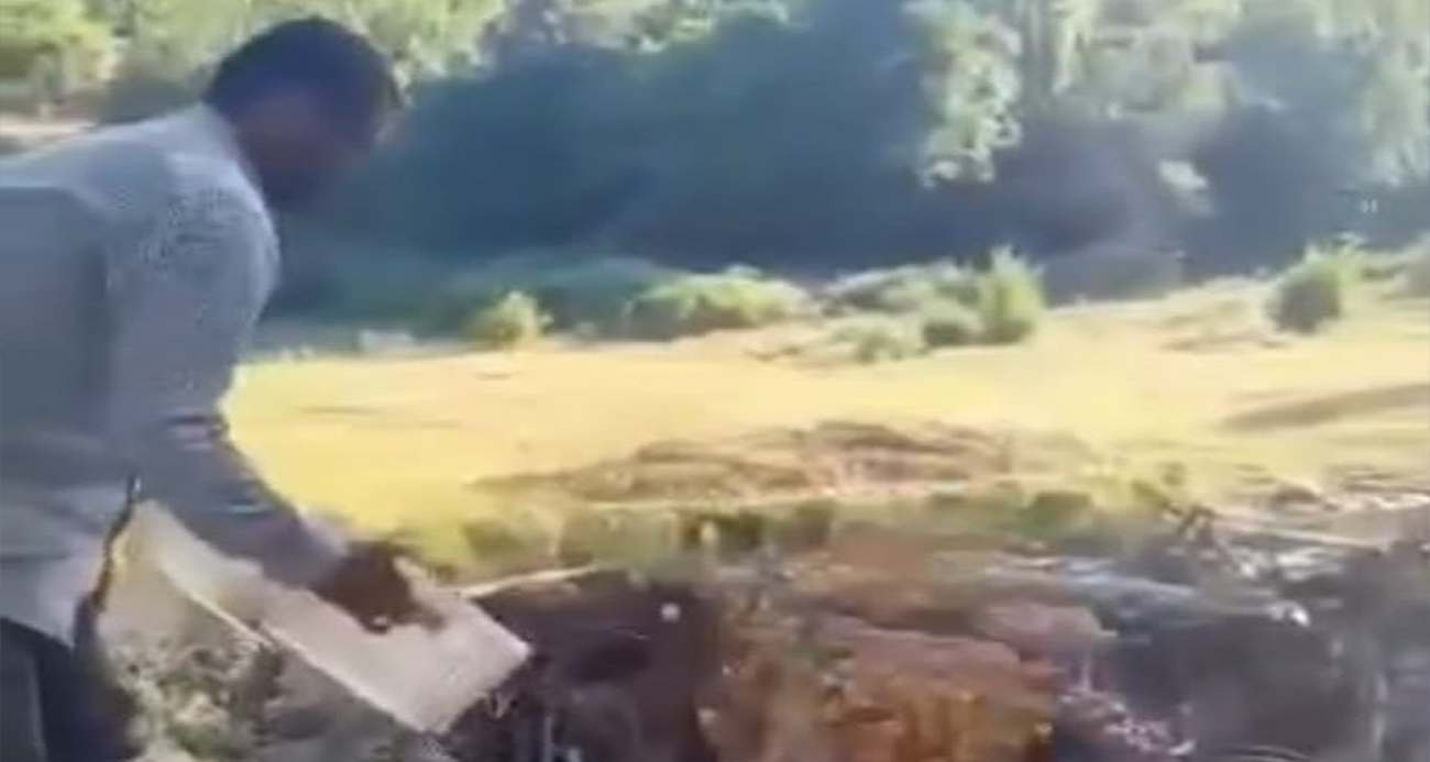 Kasalar dolusu kayısıyı dereye döktü