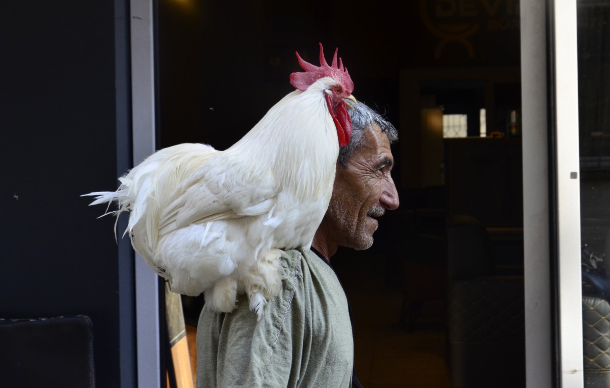 Gören dönüp bir daha bakıyor