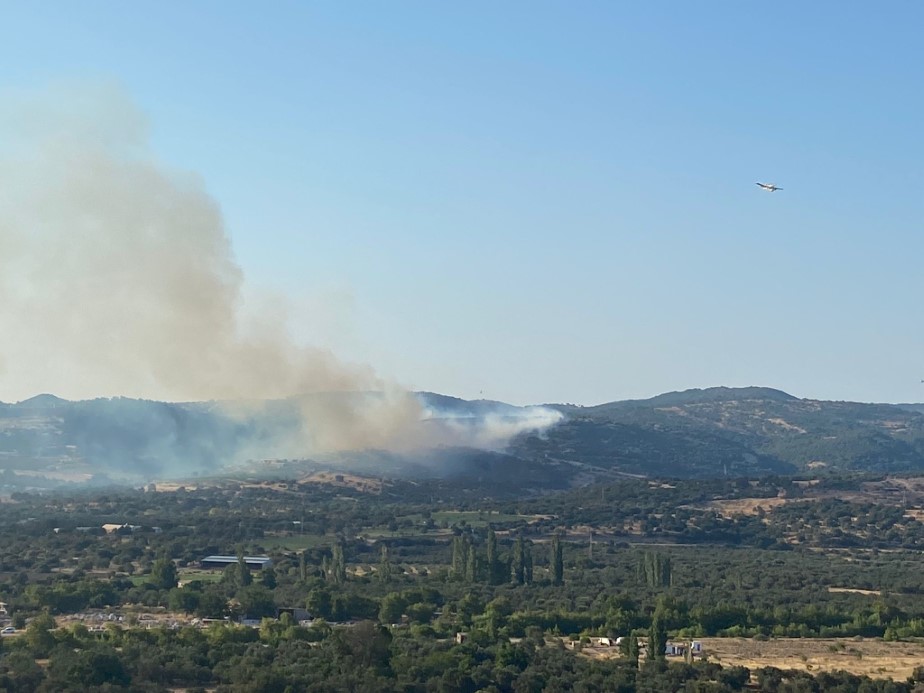 Ayvacık’ta orman yangını