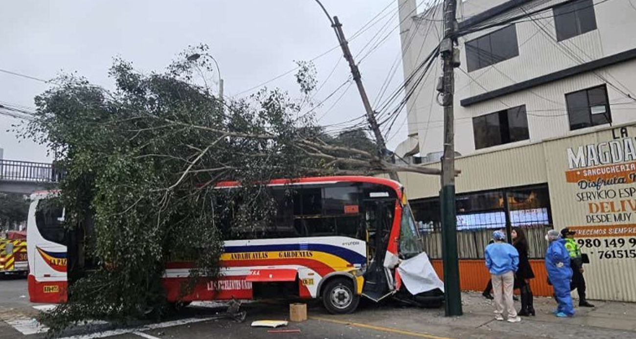 Peru’da kontrolden çıkan otobüs yaya geçidine daldı: 1 ölü, 31 yaralı