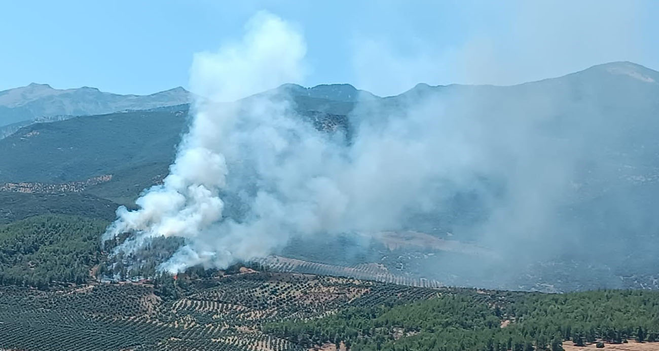 Hatay’da orman yangını