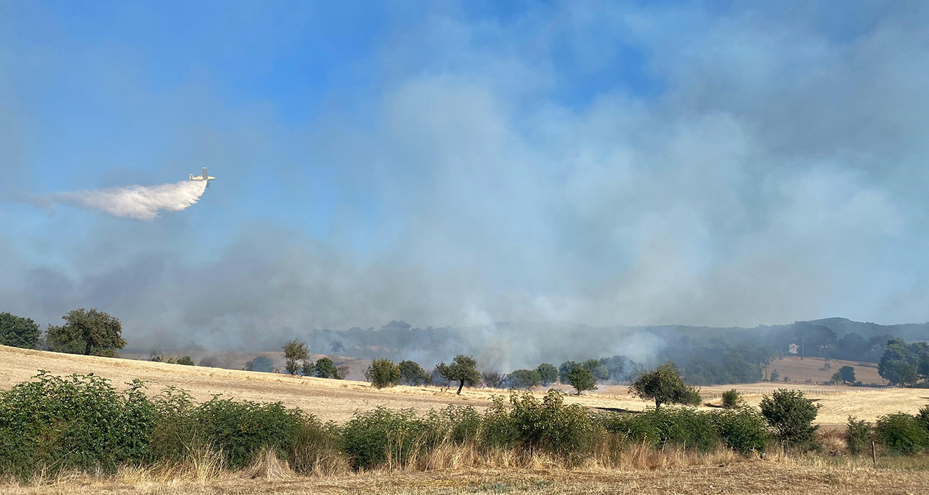Çanakkale’de orman yangını!